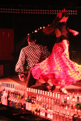 SIDC Fundraising Event (part 1)